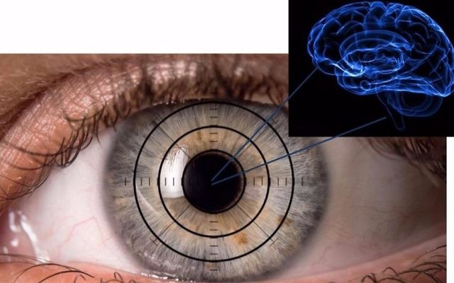 Illustrative: The eye as a window to our brain. Sheba Medical team searches the eye for signs of Alzheimer’s (Courtesy Ifat Sher)